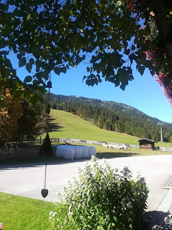 Hotel Walchauhof à Flachau Extérieur photo