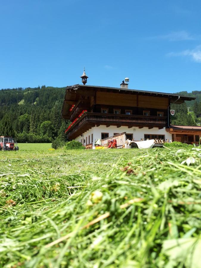 Hotel Walchauhof à Flachau Extérieur photo